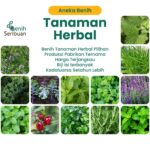 Benih Sayur Sayuran Herbal Tanaman Paket Lengkap Unggul