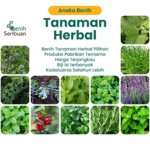 Benih Sayur Sayuran Herbal Tanaman Paket Lengkap Unggul