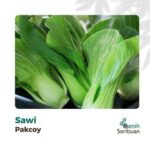 Paket 5 Macam Benih Sayuran Daun 30 Hari Panen Seribuan Bayam Kangkung Sawi Pakcoy Selada Benih Tanaman Sayur