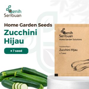 Benih Zucchini Hijau F1