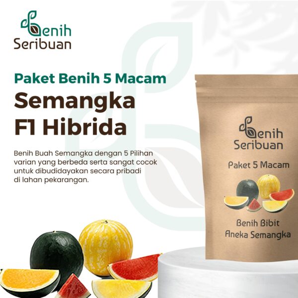 Benih Semangka 5 Macam Benih Buah Semangka F1 Hibrida Seribuan