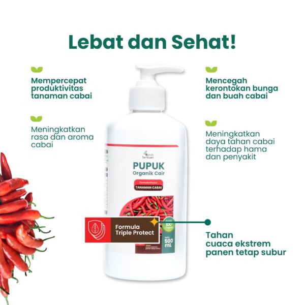 Pupuk Organik Cair POC Tanaman Cabe 500mL Nutrisi Produktivitas Cabai 5 Pupuk Organik Cair POC Tanaman Cabe 500mL Nutrisi Produktivitas Cabai