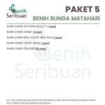 Benih Bunga Matahari 5 Macam Benih Tanaman Sunflower Paket Seribuan