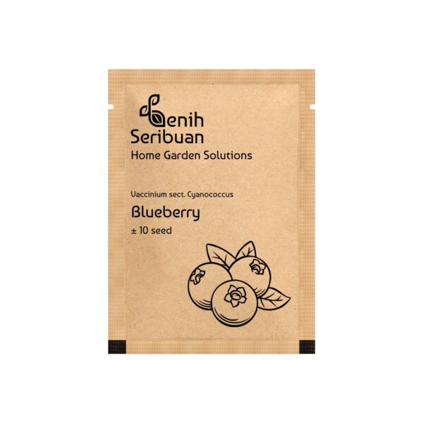 Benih Buah Blueberry Unggul Premium