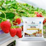AB Mix Nutrisi Hidroponik untuk 100 Liter Air