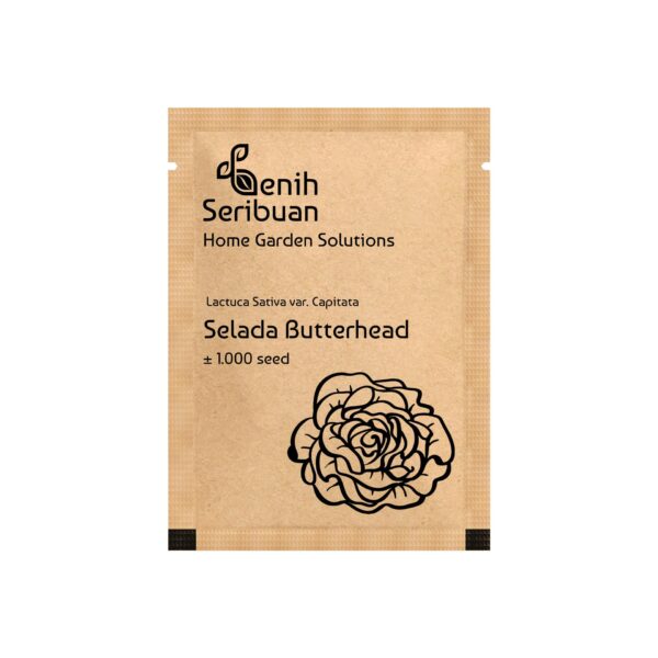 Benih Selada Butterhead