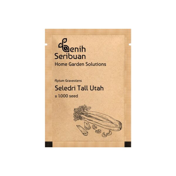 Benih Seledri Batang Besar