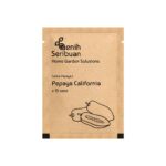 Benih Buah Pepaya California F1 Hibrida Premium