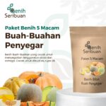 Benih Buah Penyegar 5 Macam Benih Paket Buah-Buahan Segar Seribuan