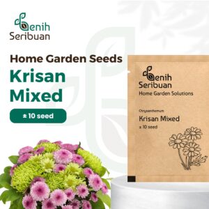 Benih Bunga Krisan Mixed Unggul Premium