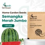Benih Buah Semangka Merah Jumbo F1 Hibrida Premium