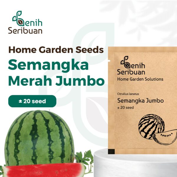 Benih Buah Semangka Merah Jumbo F1 Hibrida Premium 1 Benih Buah Semangka Merah Jumbo F1 Hibrida Premium