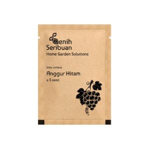 Benih Buah Anggur Hitam Heirloom Premium