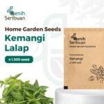 Benih Daun Kemangi