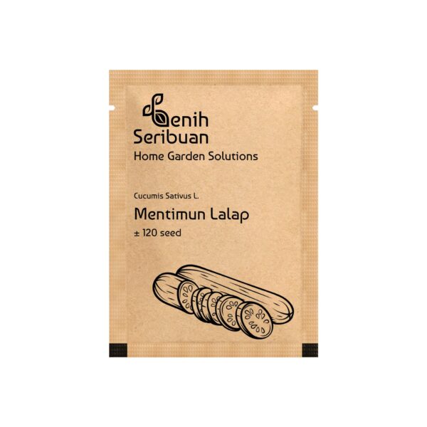 Benih Timun Lalap