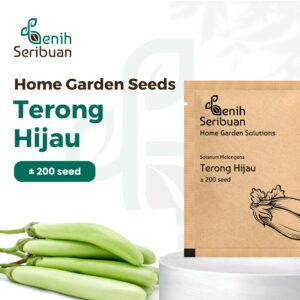Benih Terong Hijau Panjang F1
