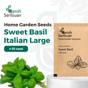 Benih Sweet Basil Italian Heirloom Tanaman Herb Premium