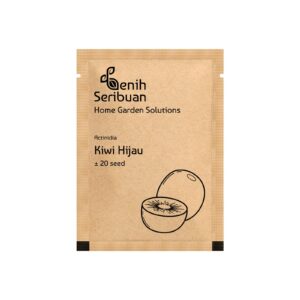 Benih Buah Kiwi Hijau Unggul Premium