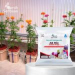 AB Mix Nutrisi Hidroponik untuk 100 Liter Air