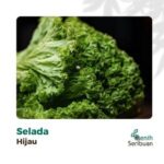 Paket 5 Macam Benih Sayuran Daun 30 Hari Panen Seribuan Bayam Kangkung Sawi Pakcoy Selada Benih Tanaman Sayur