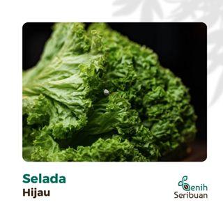 Paket 5 Macam Benih Sayuran Daun 30 Hari Panen Seribuan Bayam Kangkung Sawi Pakcoy Selada Benih Tanaman Sayur