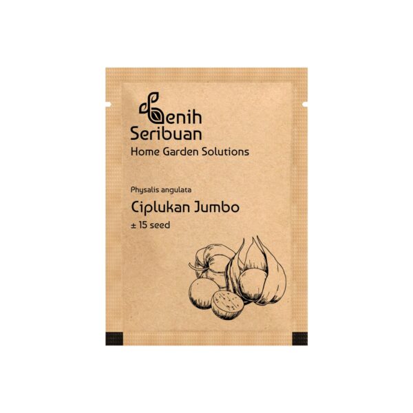 Benih Buah Ciplukan Jumbo Hijau Unggul Premium