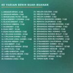 Benih Buah Buahan Hibrida Anggur, Strawberry DLL Tanaman Paket Lengkap Unggul