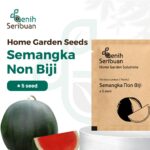 Benih Buah Semangka Non Biji Merah F1 Hibrida Premium