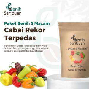 Benih Cabe Pedas 5 Macam Benih Cabai Seribuan Pedas