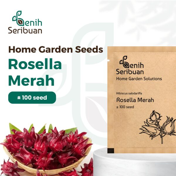 Benih Bunga Rosella Merah Unggulan Premium  1 Benih Bunga Rosella Merah Unggulan Premium
