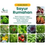 Benih Sayur Sayuran Varian Lengkap