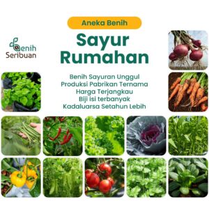 Benih Sayur Sayuran Varian Lengkap