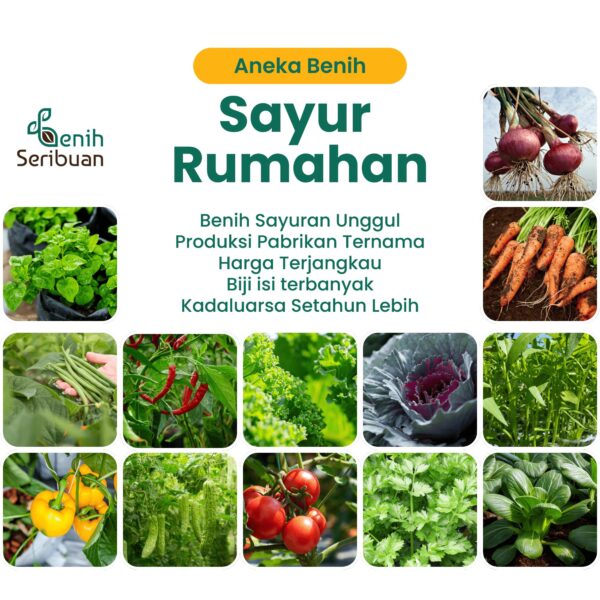 Benih Sayur Sayuran Varian Lengkap