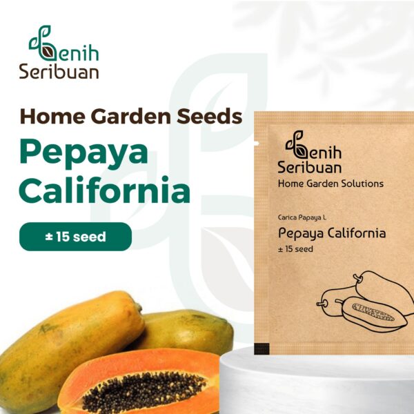 Benih Buah Pepaya California F1 Hibrida Premium