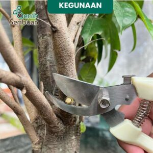 - Gunting Kebun Taman Pangkas Dahan Potong Ranting Stek Pruning Tajam Kualitas Tinggi – Stainless Steel Shears
