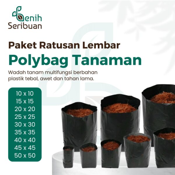 Polybag Tanaman Isi Ratusan Lembar Plastik Polibag Tebal Tahan Lama 1 Polybag Tanaman Isi Ratusan Lembar Plastik Polibag Tebal Tahan Lama
