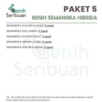 Benih Semangka 5 Macam Benih Buah Semangka F1 Hibrida Seribuan