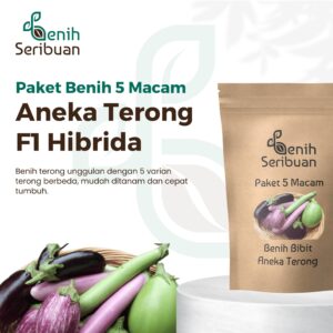 Paket 5 Macam Benih Terong F1 Hibrida Benih Sayur Sayuran Seribuan