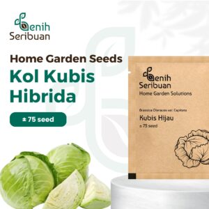 Benih Kol Kubis Hijau F1