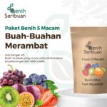 Benih Buah Merambat 5 Macam Benih Paket Buah-Buahan Rambat Unggul Seribuan