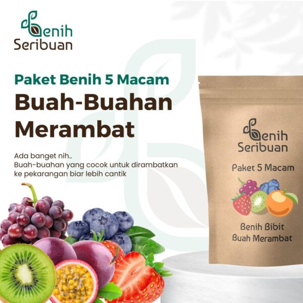 Benih Buah Merambat 5 Macam Benih Paket Buah-Buahan Rambat Unggul Seribuan 1 Benih Buah Merambat 5 Macam Benih Paket Buah-Buahan Rambat Unggul Seribuan