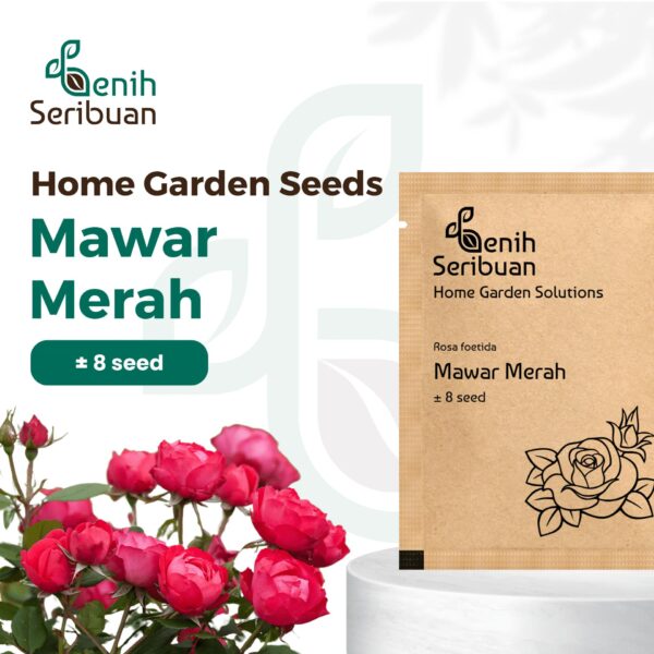 Benih Bunga Mawar Merah Red Rose Heirloom Premium