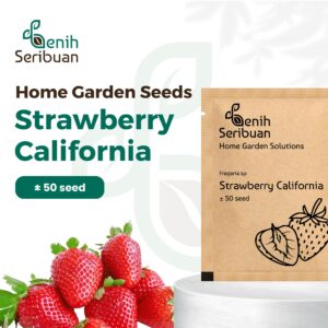 Benih Buah Strawberry California Unggul Premium 