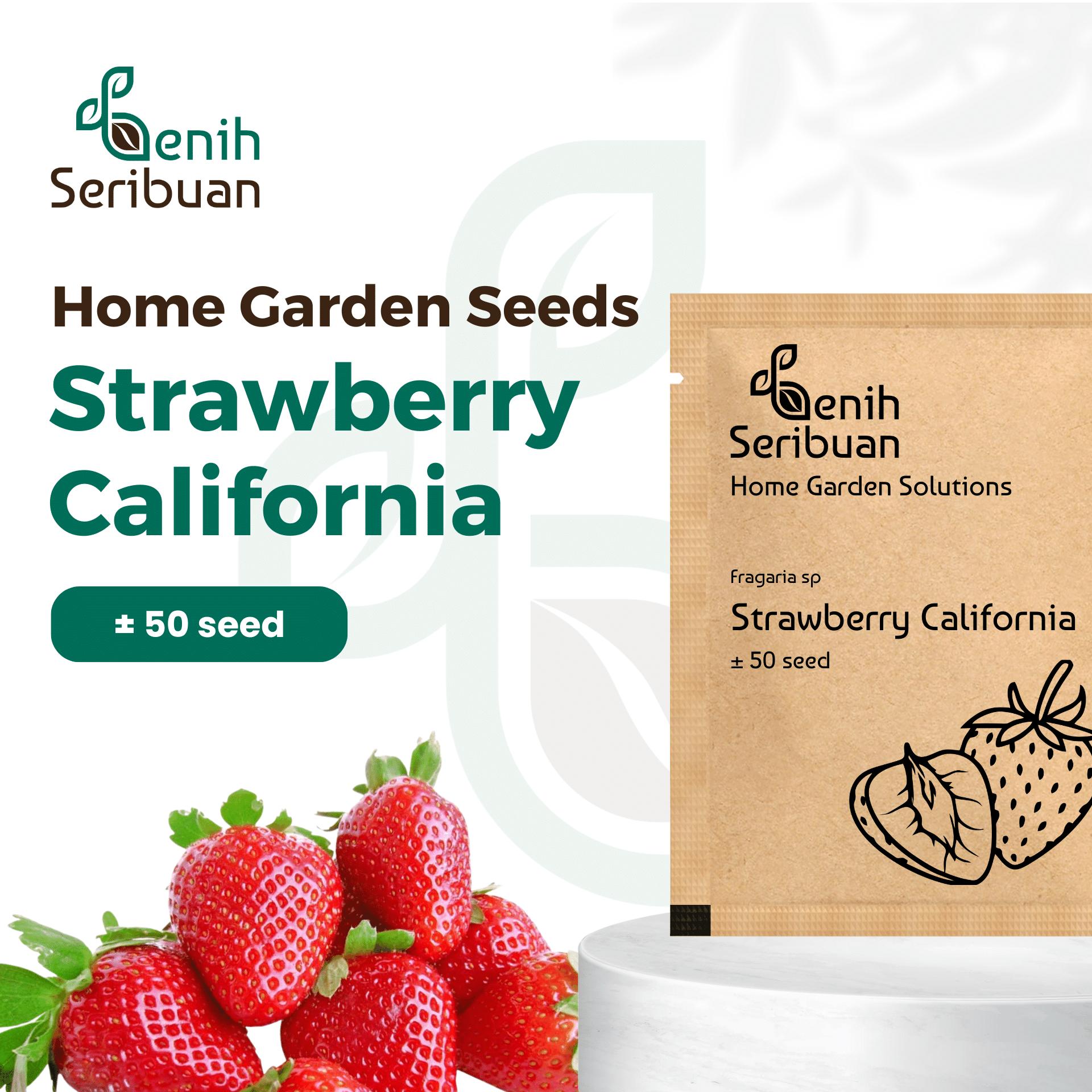 Benih Buah Strawberry California Unggul Premium 