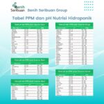 AB Mix Nutrisi Hidroponik untuk 100 Liter Air
