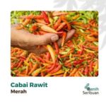 Benih Cabe Rawit 5 Macam Varian Tanaman Paket Lengkap Unggul