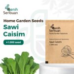 Benih Sawi Caisim
