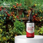 Ferti Boost Serum: Pupuk Cair Pelebat Buah Organik 100mL Booster Buah Lebih Cepat Besar Manis