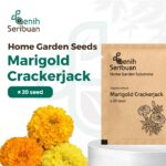 Bibit Bunga Marigold Crackerjack Heirloom Premium