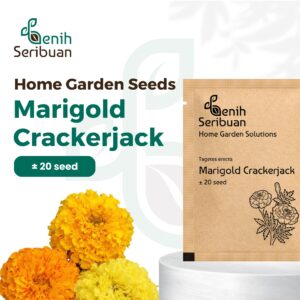 Bibit Bunga Marigold Crackerjack Heirloom Premium 